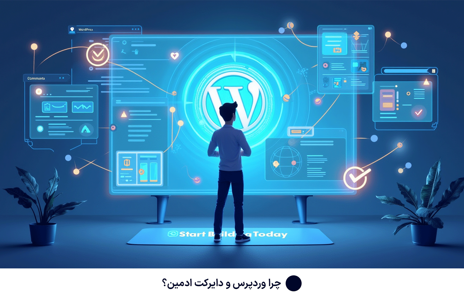 چرا وردپرس و دایرکت ادمین؟