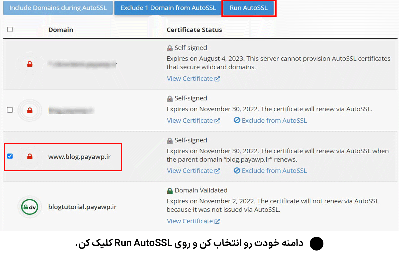 دامنه خودت رو انتخاب کن و روی Run AutoSSL کلیک کن.